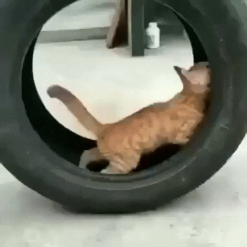 С добрым утром!