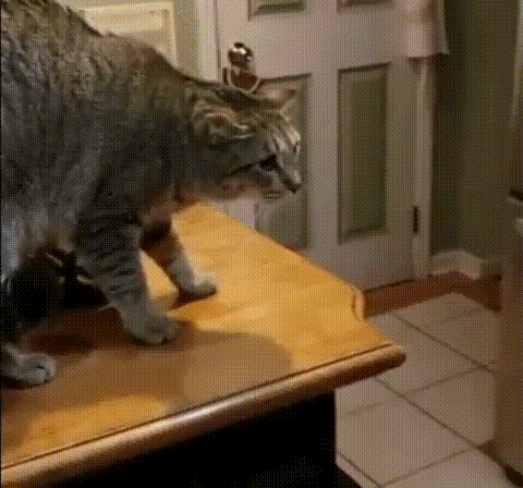 С добрым утром!