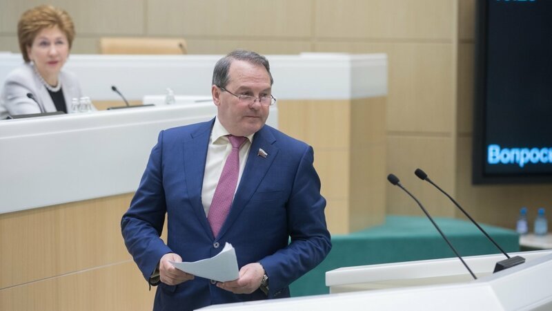Цензура от «свободной страны»: в Совфеде высказали мнение о решении американского суда по Facebook*