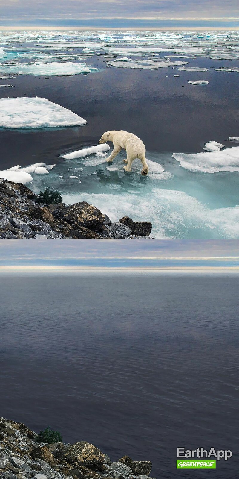 Растаявшая Арктика