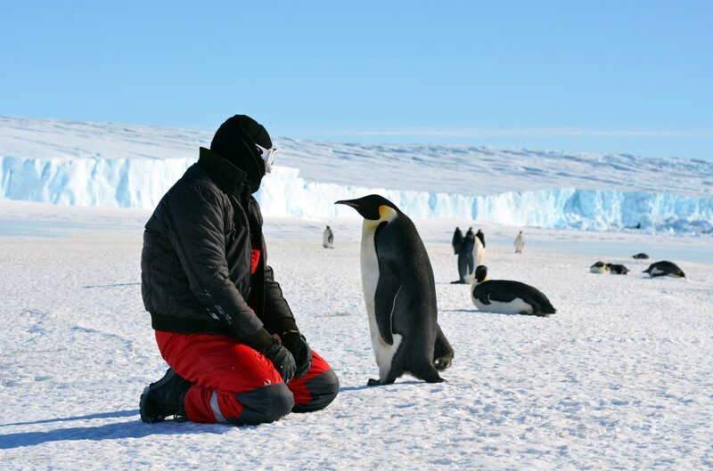 Почему в Антарктиде нельзя мусорить и справлять нужду, где захочешь?