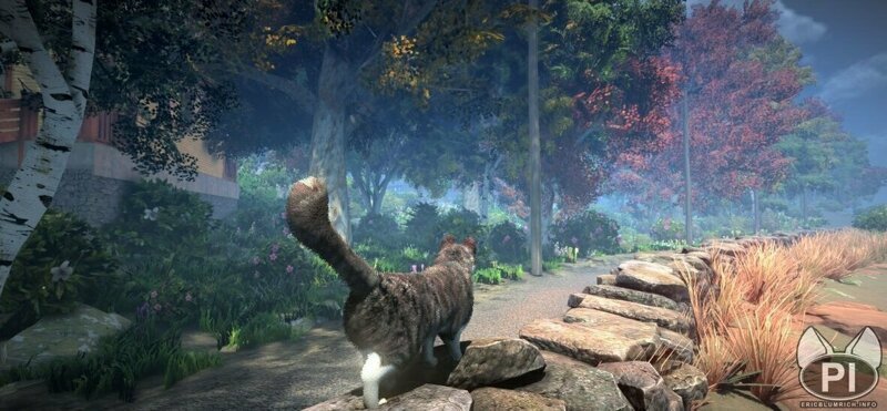 В новой игре Peace Island пользователю можно будет управлять, внимание, котами!