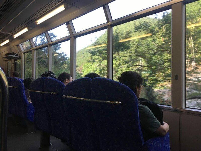 2. Сиденья в поезде расположены так, чтобы было лучше видно пейзажи