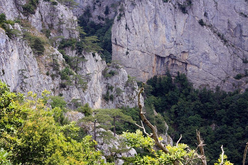 Бойку надежно охраняют ее скалистые обрывы, и только на перевалах природа создала относительные удобства для прокладки проезжих дорог. Здесь найдены несколько остатков древних крепостей, относящихся к X-XV векам.