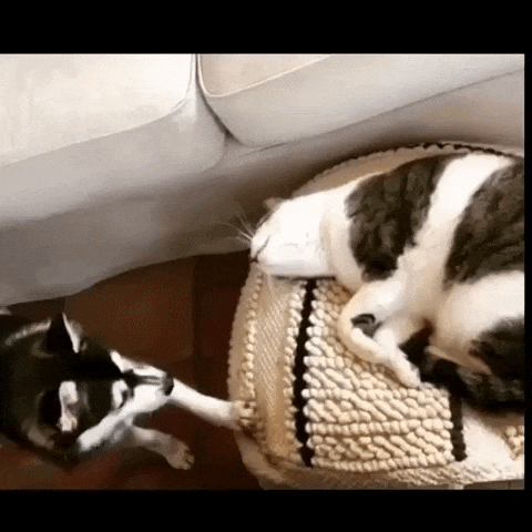 С добрым утром!