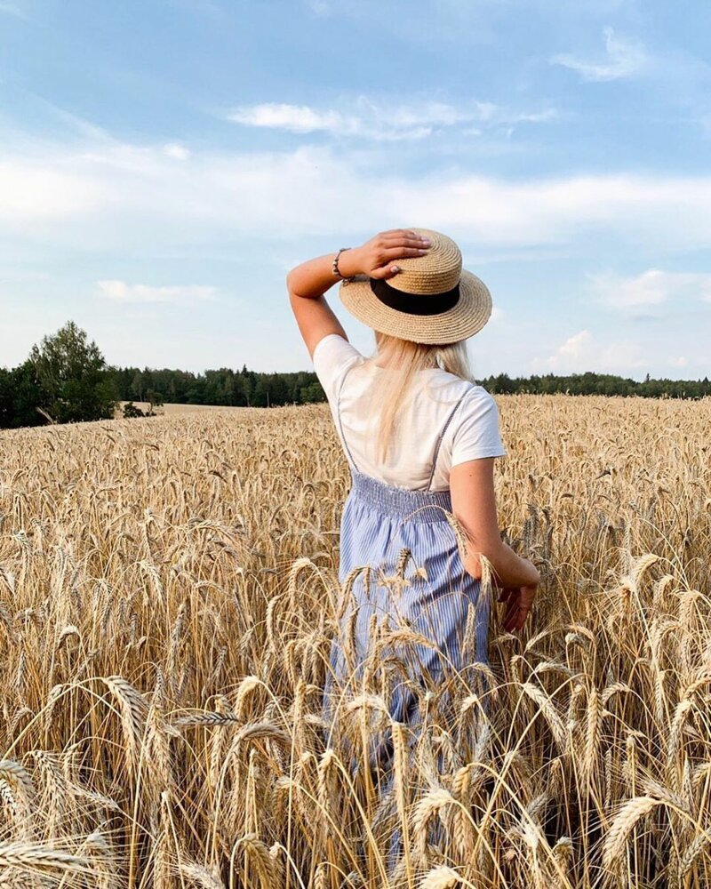 «Нельзя просто так проехать мимо пшеничного поля»