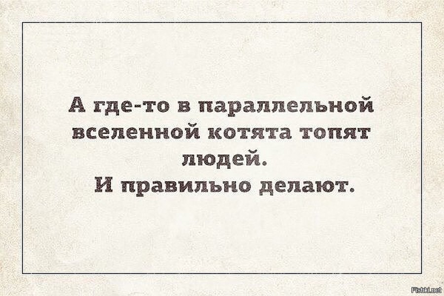 Где то в параллельной вселенной котята топят людей и правильно делают. Утопленные котята в ведре. Котята топят людей. Ведро котят. Котята топят людей.