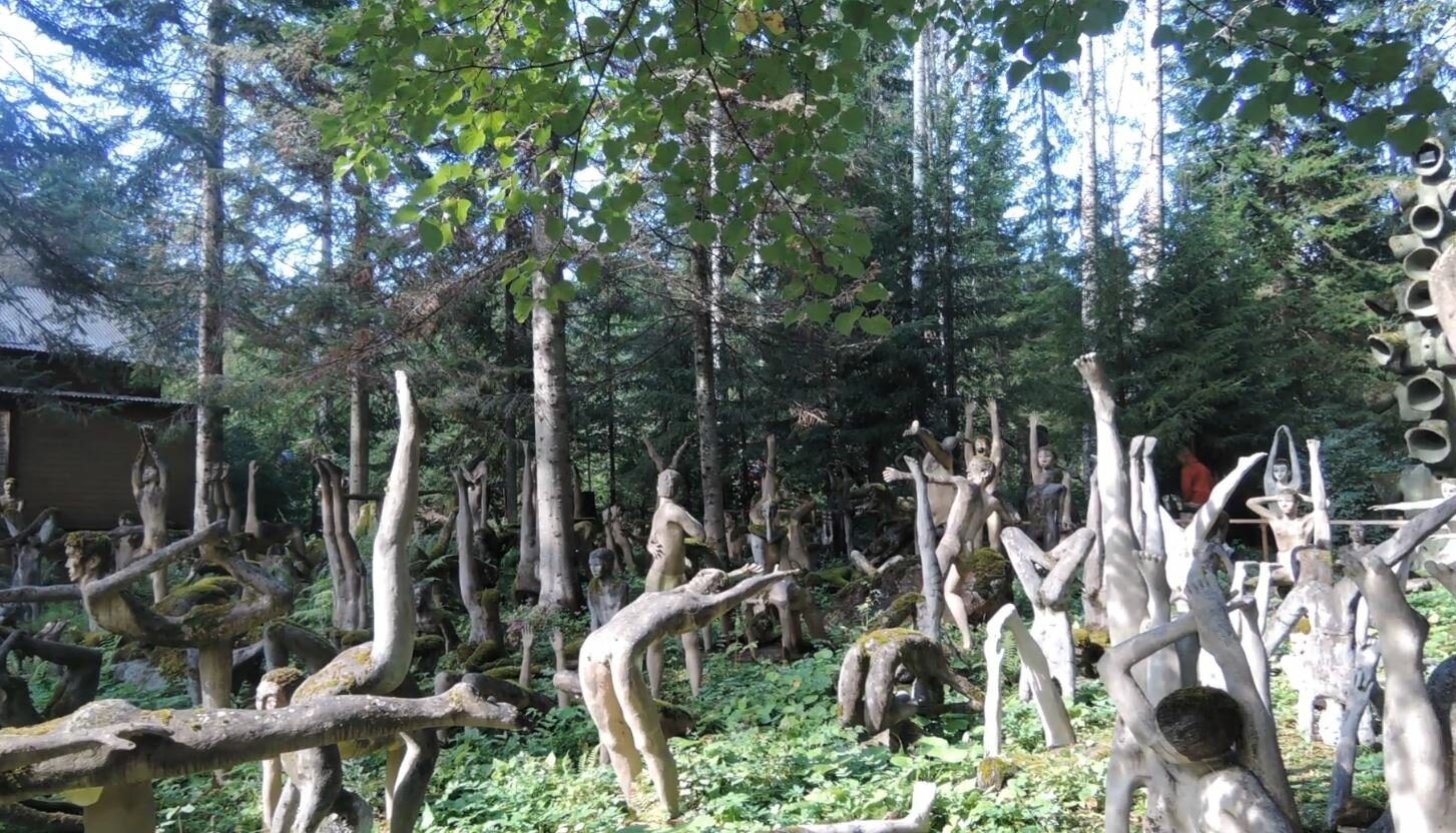 Финляндия лес