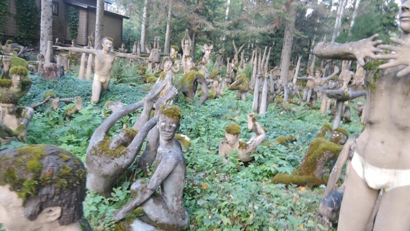 Кто водится в жутковатом и "мистическом" финском лесу?