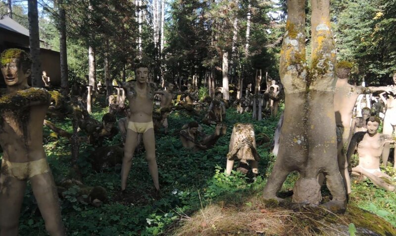Кто водится в жутковатом и "мистическом" финском лесу?