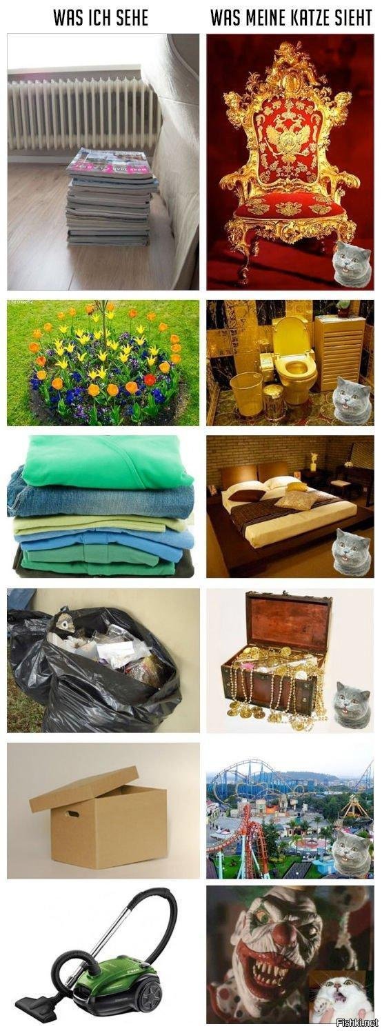 Как мы видим предметы физика. Близорукость плохо видят предметы. Построение изображения в глазу. Вижу предметы больше. Плохое зрение.