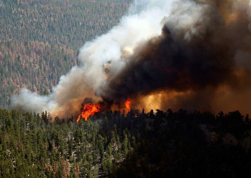"Явление нормальное!": красноярский губернатор заявил, что тушить лесные пожары нужно не все