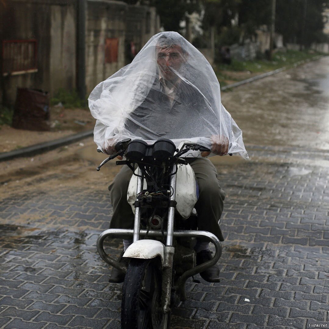 ветер в харю я. ветер в харю а я шпарю. ветер в харю а я шпарю. муха на мотоцикле. ветер в харю прикол.