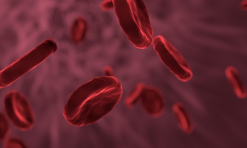 Гемофилия - редкое наследственное заболевание, связанное с нарушением коагуляции (процессом свёртывания крови)