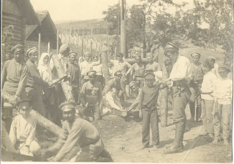 Трудовая армия, май 1920
