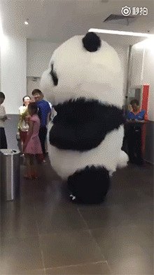Вот теперь точно всё: человек в костюме панды, заходящий в лифт