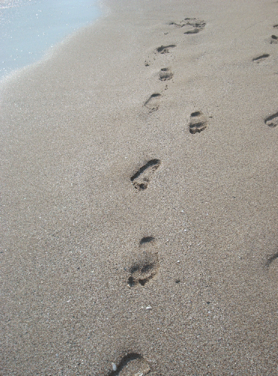 Мы будем первым поколением, что не оставит от себя следов