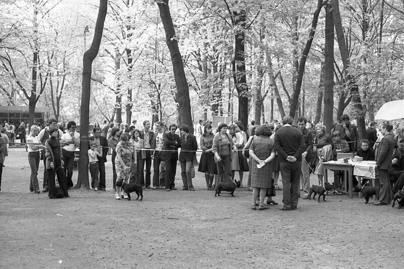 Выставка собак, Москва 1979 г