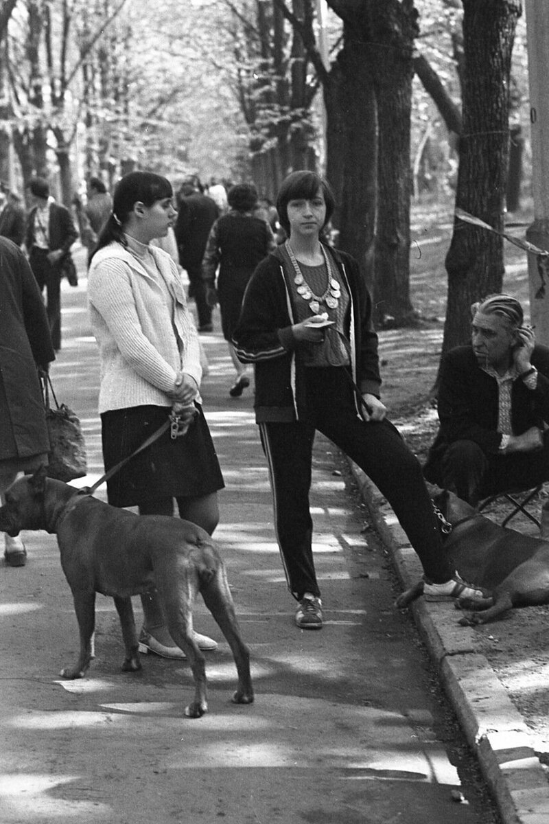 Выставка собак, Москва 1979 г