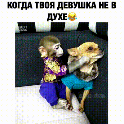 Подборка оригинальных гифок. Первая половина Подборка оригинальных гифок. Первая половина