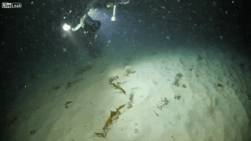 Подборка оригинальных гифок. Вторая половина