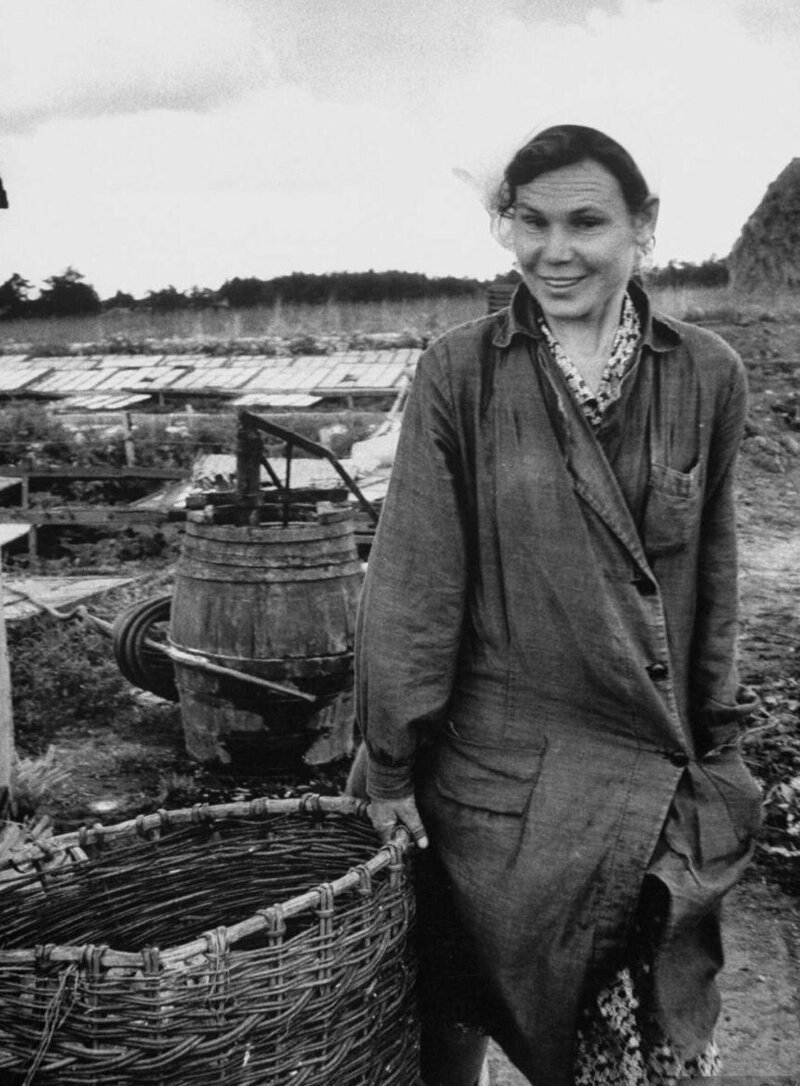 Сентябрь 1956-го: простые москвички в объективе Лизы Ларсен