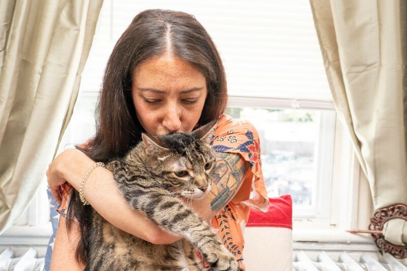 Женщина украла кота из чужой семьи, чтобы спасти ему жизнь
