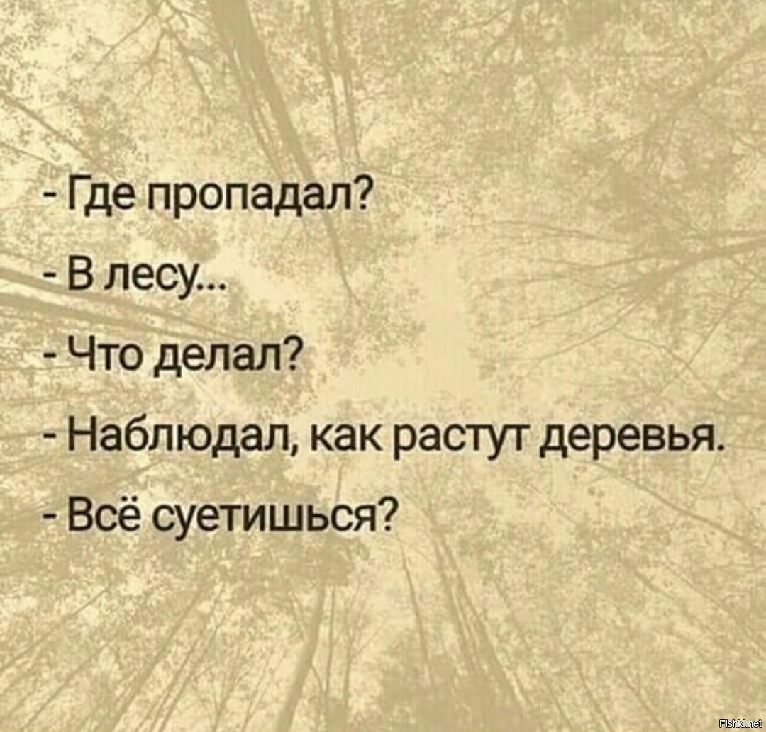 Что делаешь смотрю как деревья растут суетишься фото все