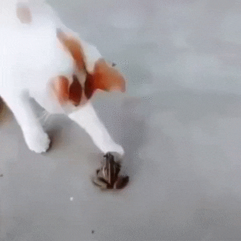 С добрым утром!