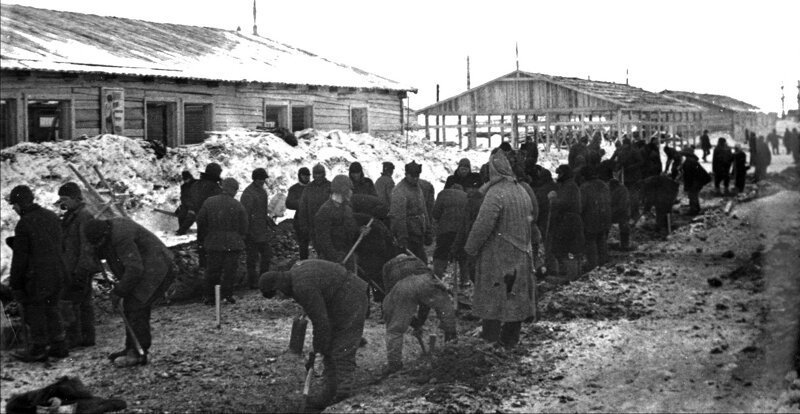 Кто выживет в лагерях