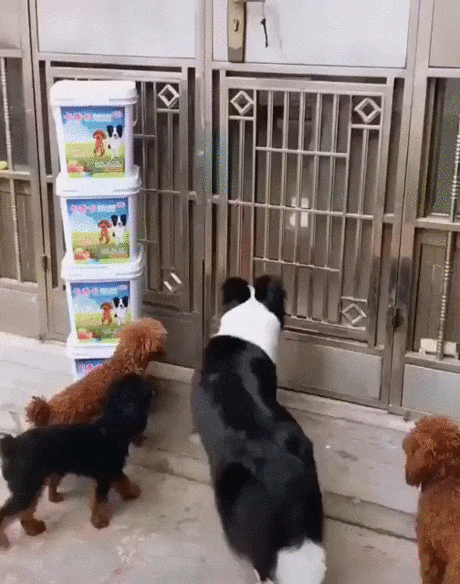 Из одной банды