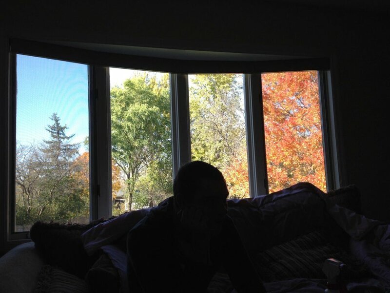 8. «Из-за этого окна кажется, что у меня на заднем дворе одновременно стоят четыре времени года»
