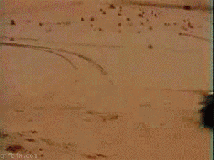 Подборка оригинальных гифок. Первая половина