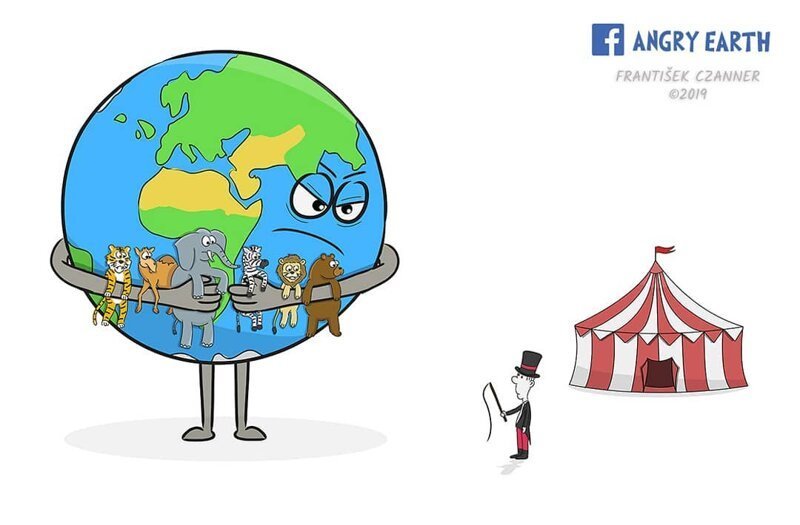 Цирки с животными — зло