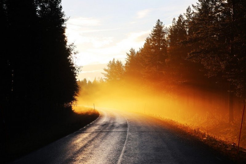 Дорога в золотом тумане