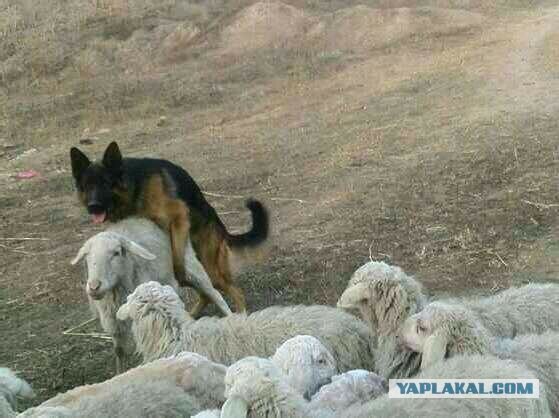 Капитал - самовозрастающая стоимость