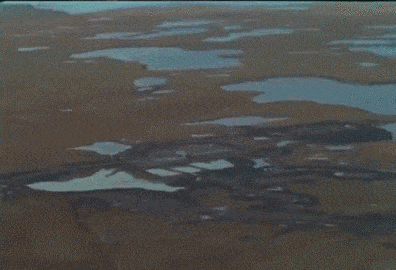 Подборка оригинальных гифок. Вторая половина