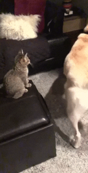 С добрым утром!