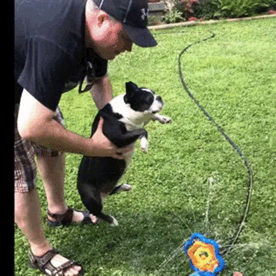 С добрым утром!