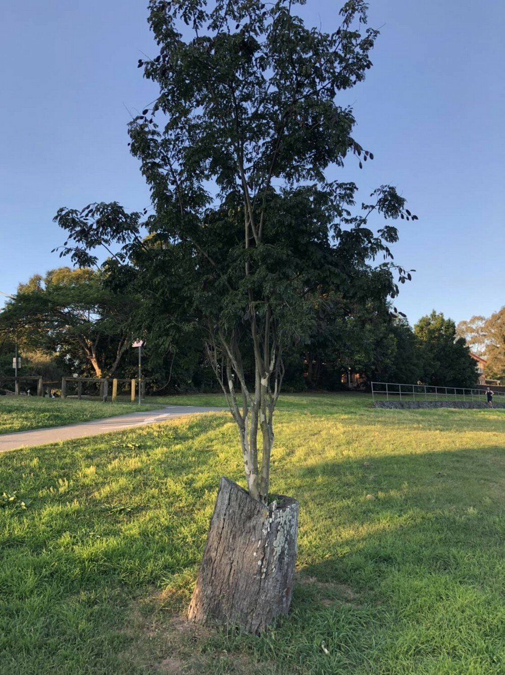 Фотоподборка от Димон за 08 августа 2019