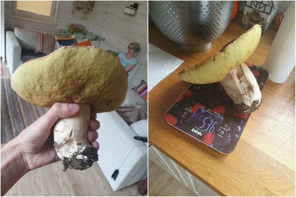 Фотоподборка от Димон за 08 августа 2019