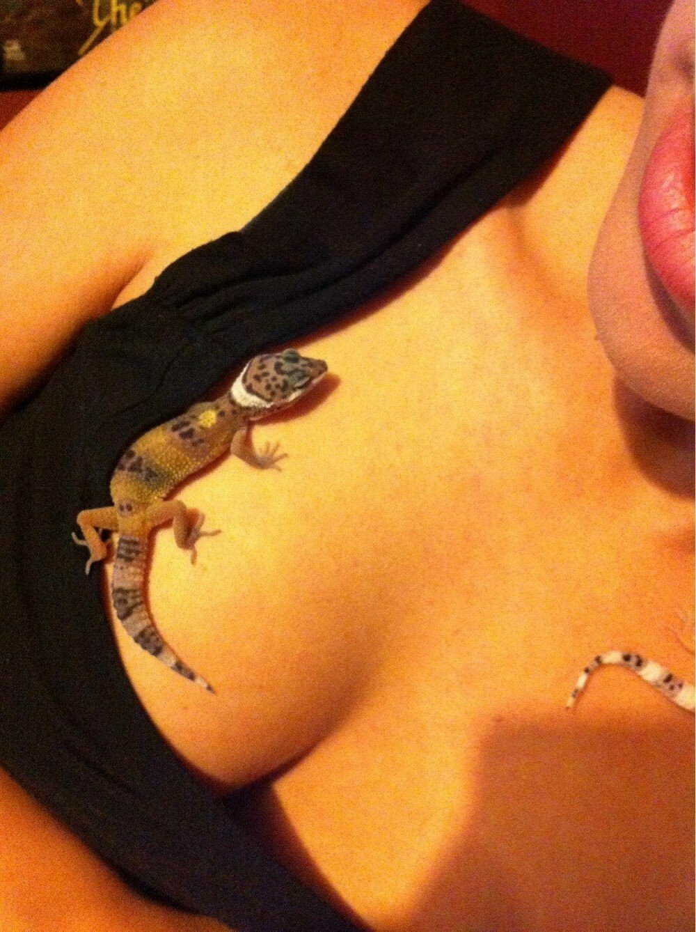 Фотоподборка от Димон за 08 августа 2019