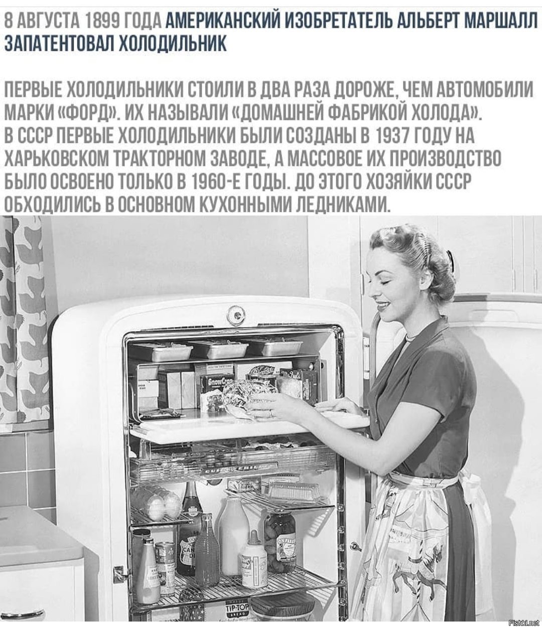 Когда изобрели 1 холодильник. Первый холодильник. Холодильник 1899.