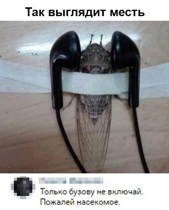 Прикольные и смешные картинки