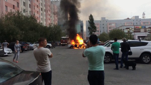 Подборка оригинальных гифок. Первая половина