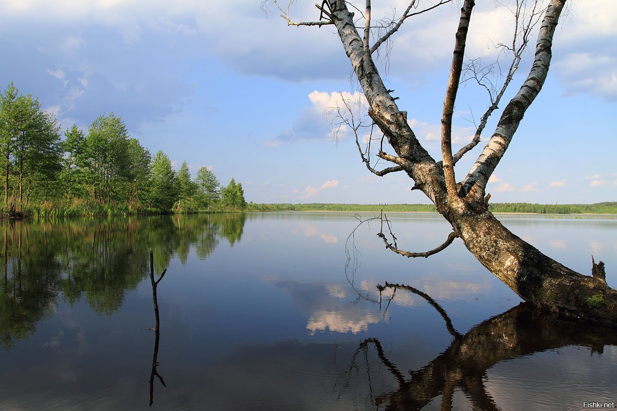 Чигиринское водохранилище карта