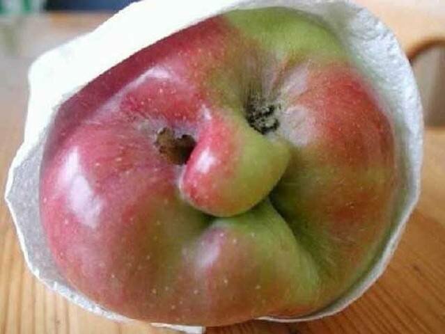 8. Похоже на бабулю в платочке, не правда ли?