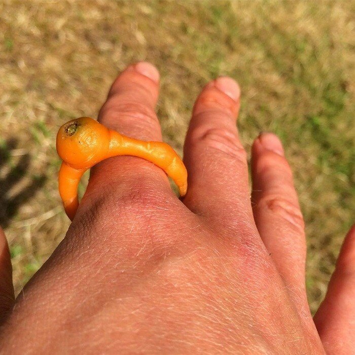 5. Главное, чтобы предложение руки и сердца с таким кольцом не стал делать человек