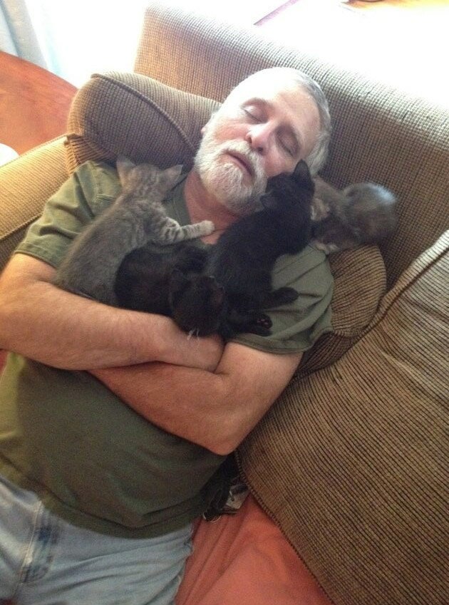 7. «Мой папа с котятами, которых он не возьмёт\не хочет. Теперь он их мамочка»