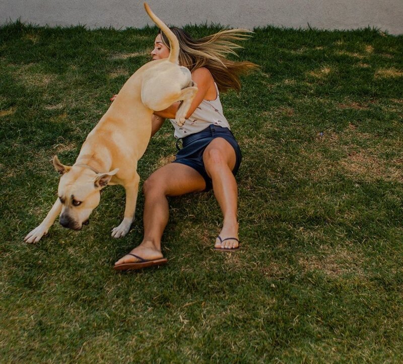 «Он спокойный и будет вести себя хорошо»: Пара взяла пса на предсвадебную фотосессию и не прогадала